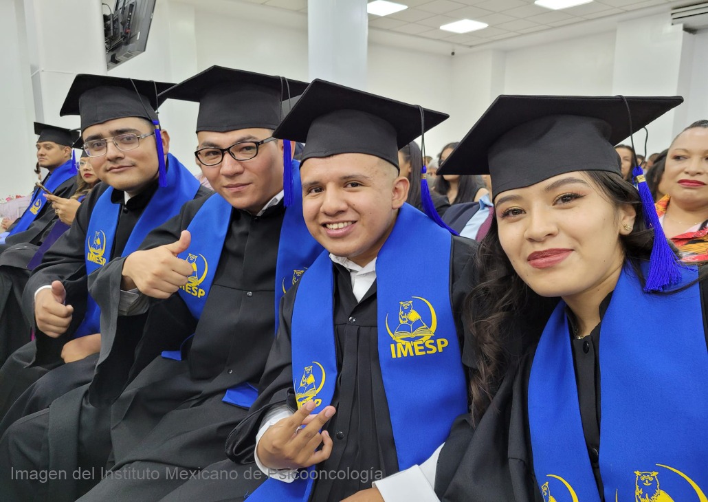 Licenciatura